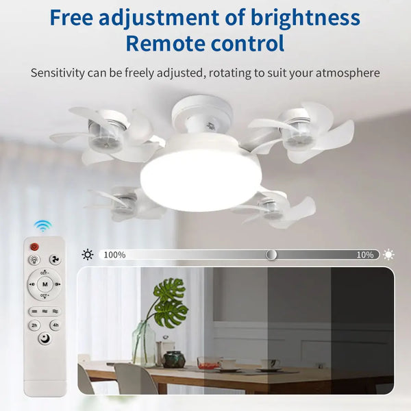 Breeze & Shine Light Fan