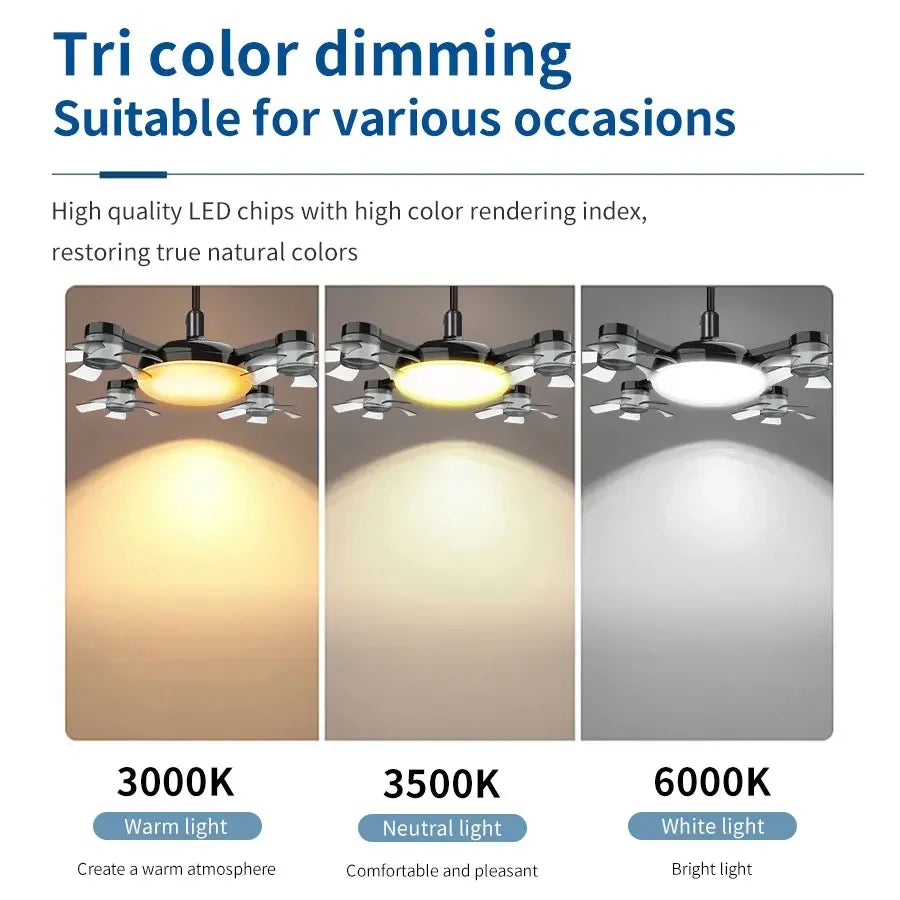 LED Ceiling Fan Light with Remote