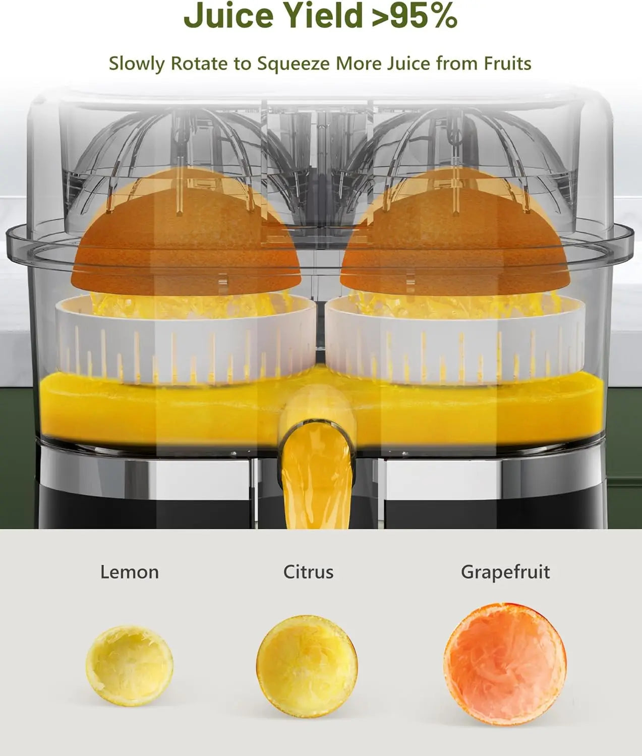 Dual Head Electric Juicer